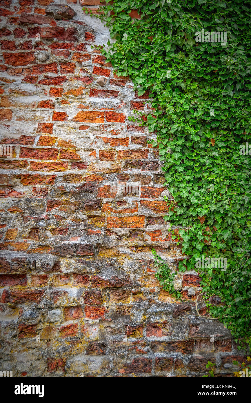 I resti della cinta muraria che una volta circondata molto di ahu. È considerato essere Swedenâ€™s città medievali meglio conservate la parete dopo Visby sulla Foto Stock