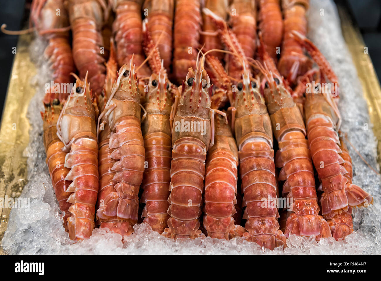 Scampi su ghiaccio Foto Stock