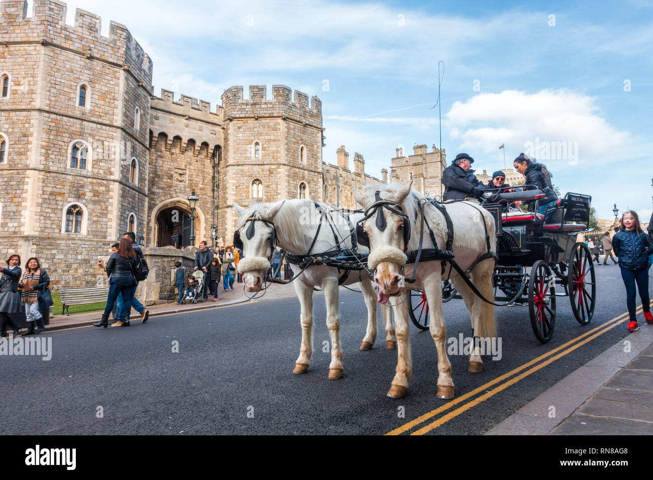 Un carro trainato da cavalli al di fuori del Castello di Windsor tirato da due cavalli bianchi è popolare con i turisti e offre passeggiate intorno a Windsor. Foto Stock