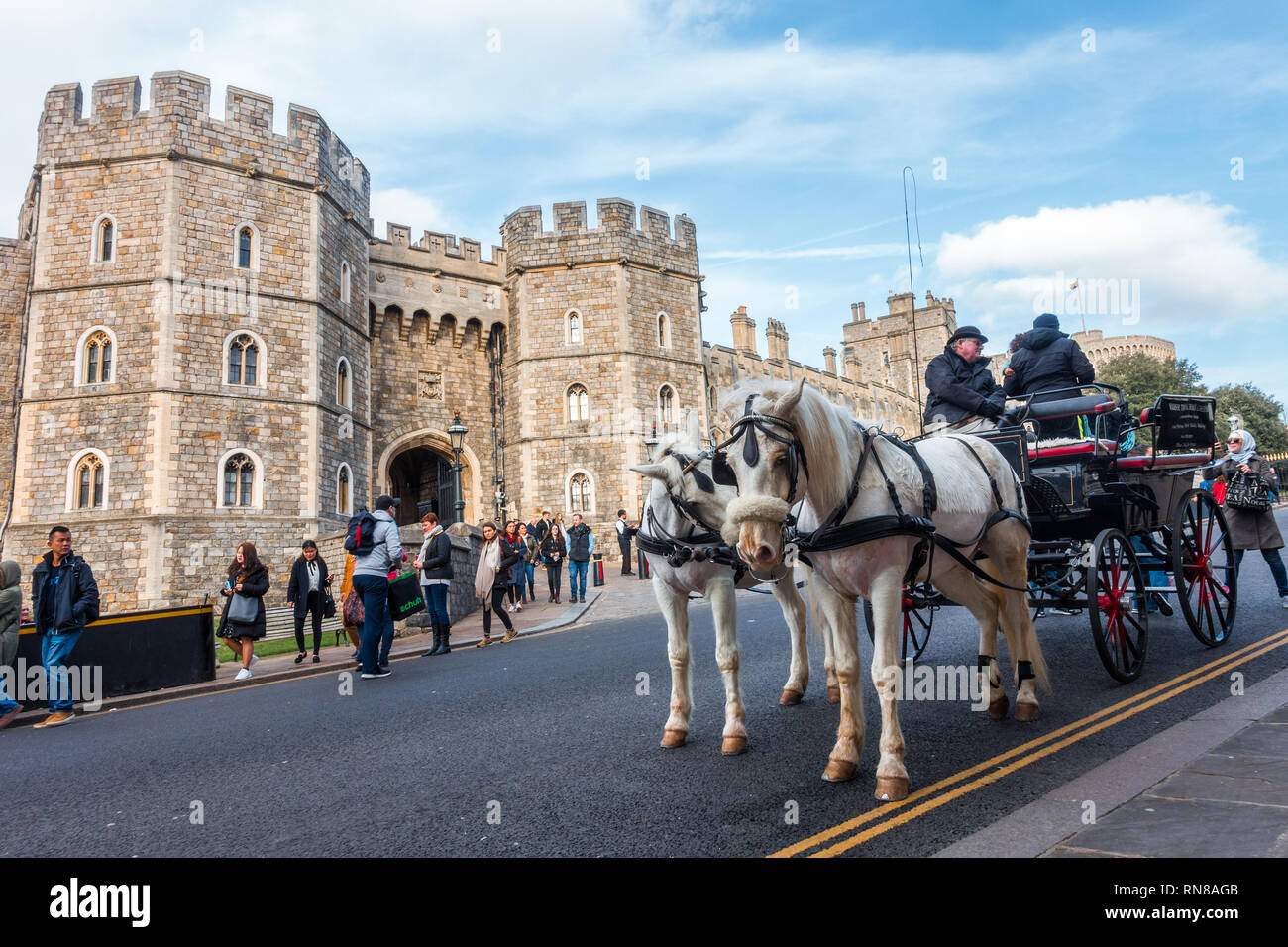 Un carro trainato da cavalli al di fuori del Castello di Windsor tirato da due cavalli bianchi è popolare con i turisti e offre passeggiate intorno a Windsor. Foto Stock
