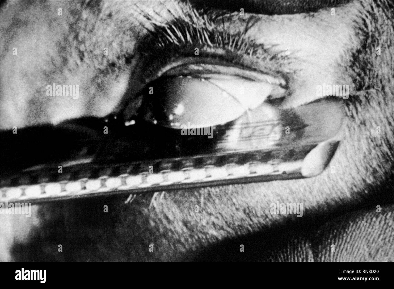 EYEBALL tagliato con RAZORBLADE, un cane andaluso, 1929 Foto Stock