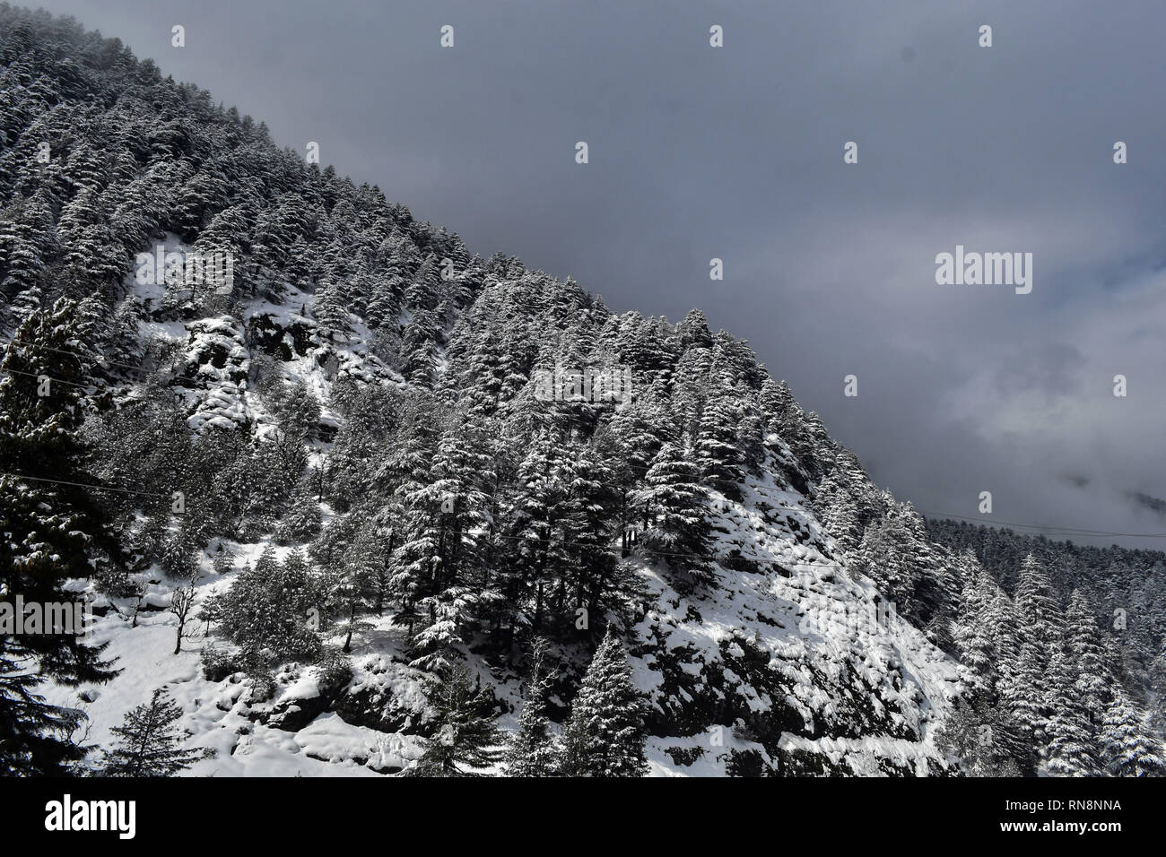 Una vista generale della neve montagna rivestita durante un inverno Nuvoloso Giorno di Pahalgam, a circa 110km da Srinagar, Indiano Kashmir amministrato. Valle del Kashmir rimarrebbe molto nuvoloso domenica, con piogge sparse e Rovesci temporaleschi in tutto lo stato per i prossimi due o tre giorni, un locale ufficio meteorologico meteo detto. Foto Stock