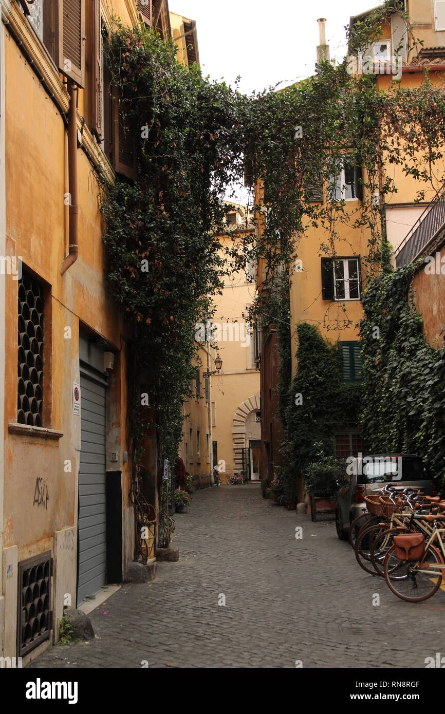 Vecchia strada di Roma, Italia. Vintage street con un impianto climping. Foto Stock