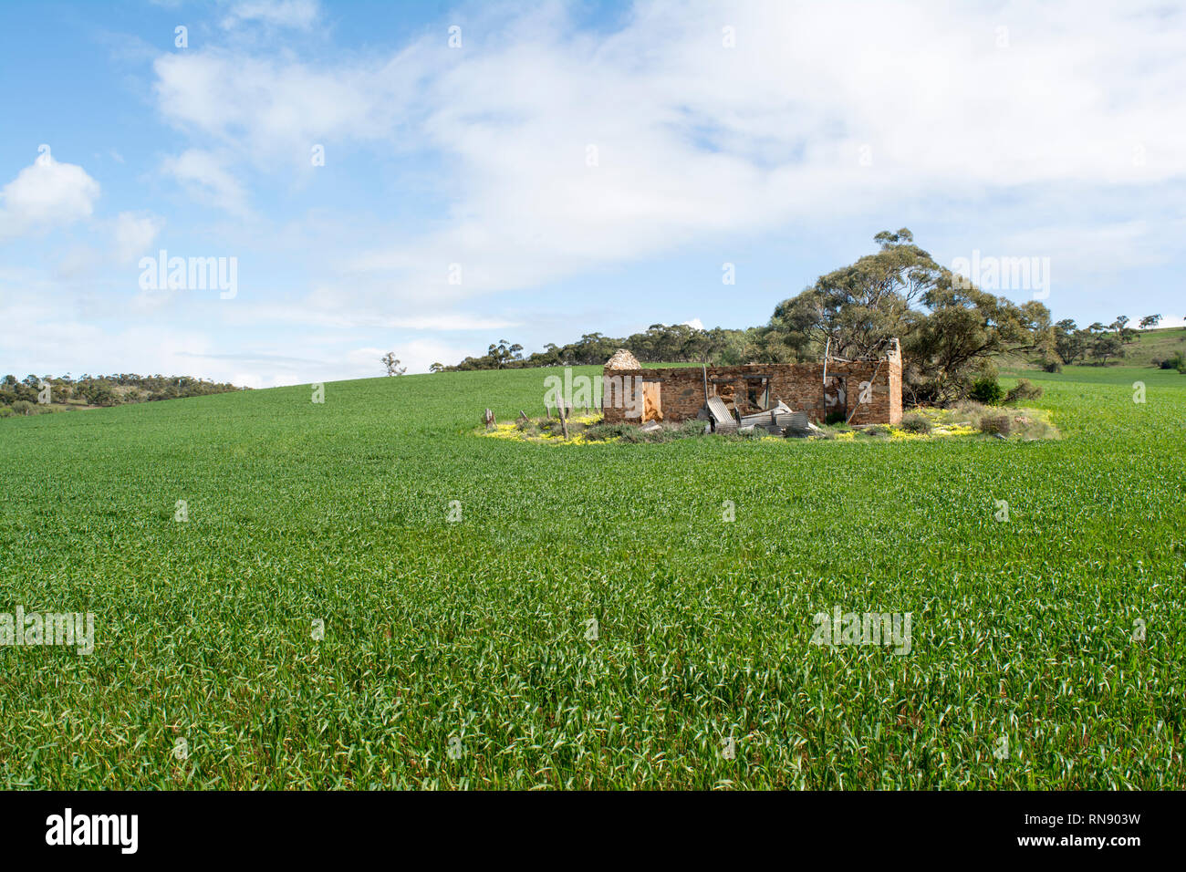 Mannum, South Australia, Australia - 19 agosto 2017: piccoli cottage homestead in rovine entro il distretto Murraylands. Foto Stock