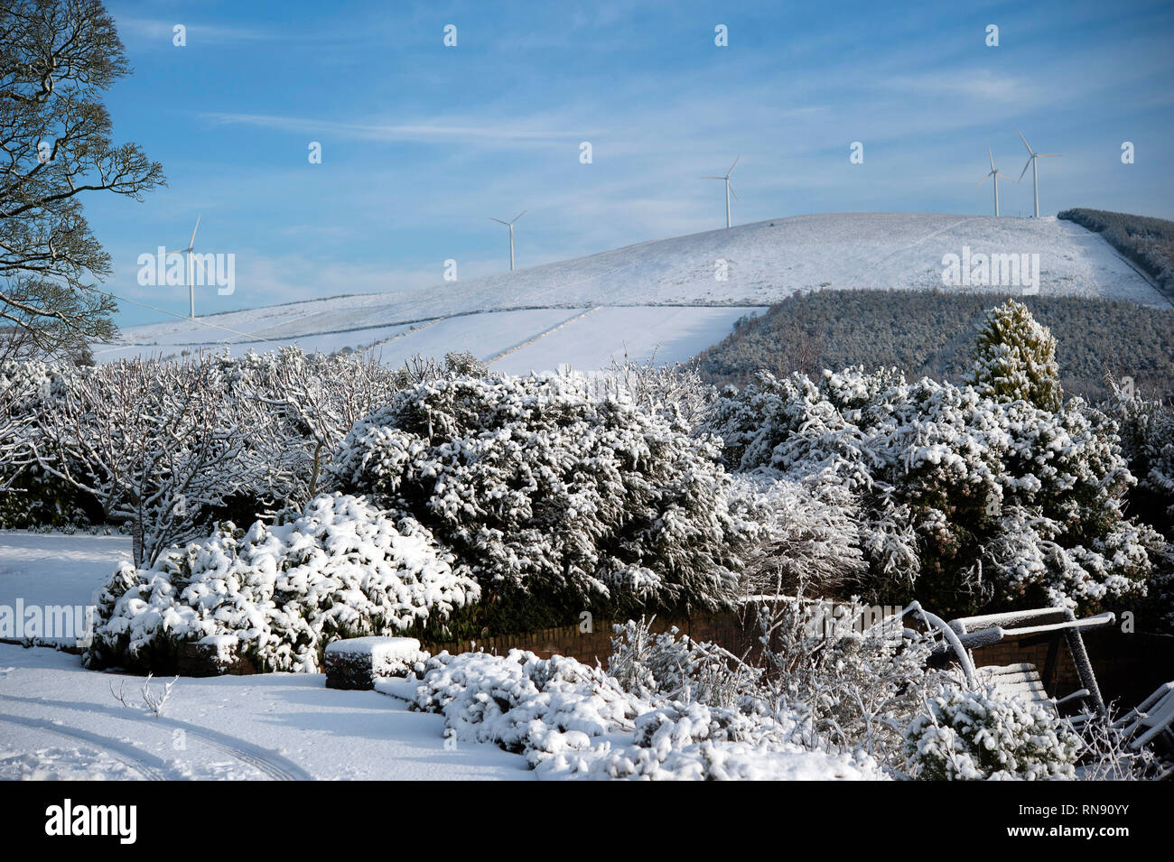 La caduta di neve, Bunclody, Wexford, Irlanda, Eire, Europa Foto Stock
