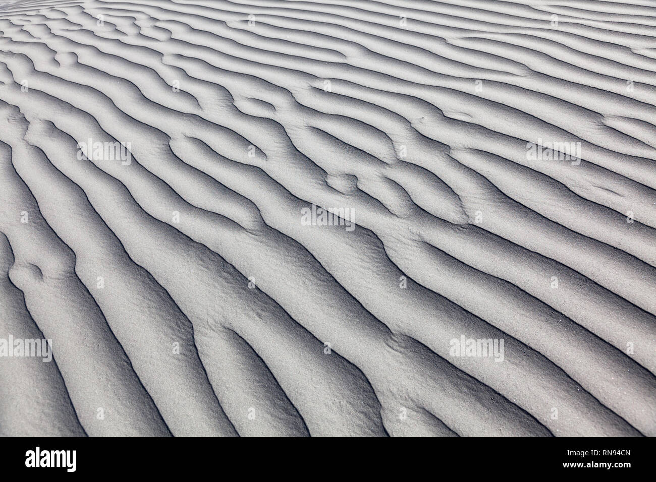 Modello sulla sabbia nella zona di Hunder, Valle di Nubra, Ladakh, Jammu e Kashmir India Foto Stock