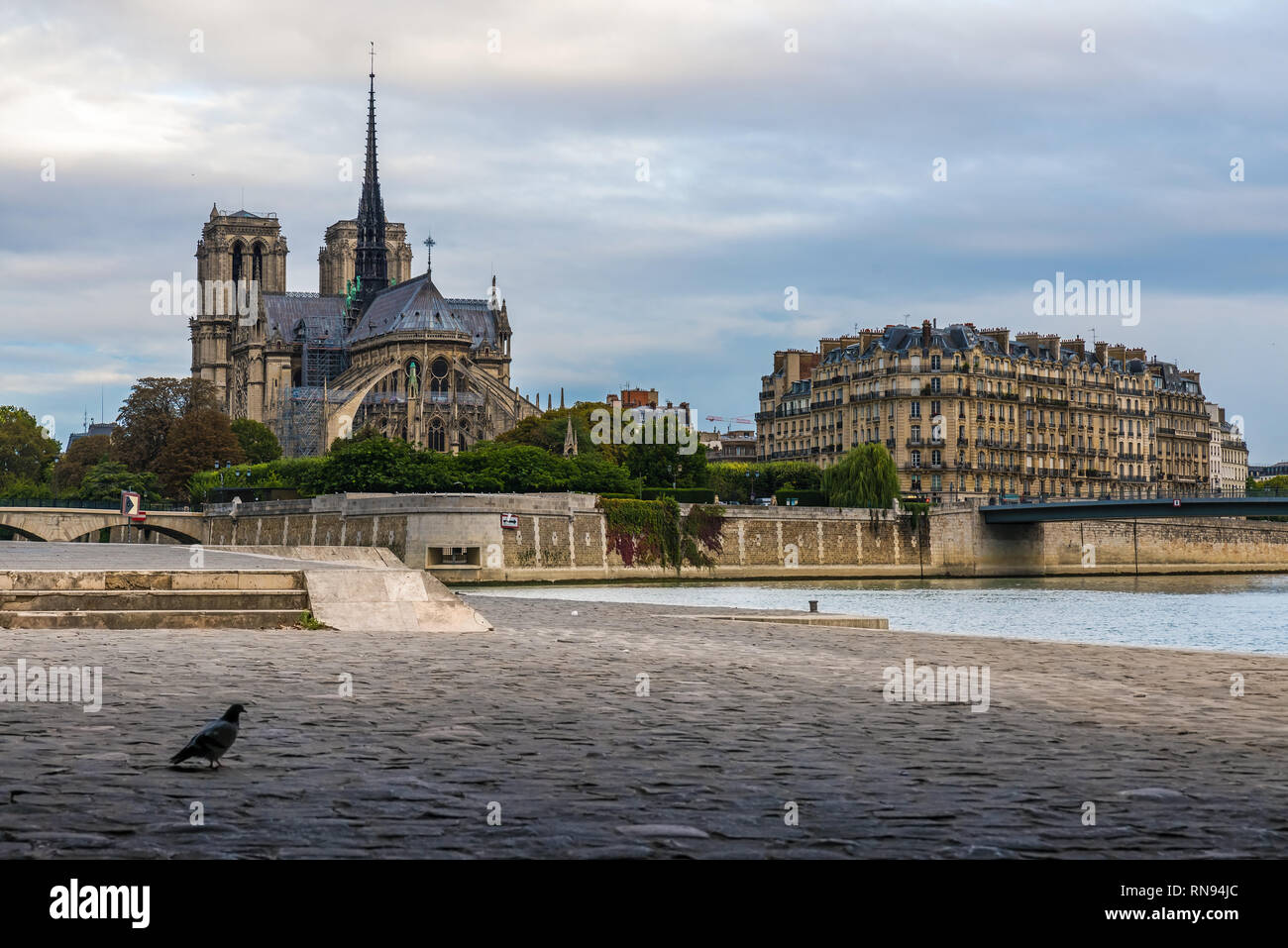 Notre Dame de Paris cathedral view dalla Senna bank, Paris, Francia al mattino Foto Stock