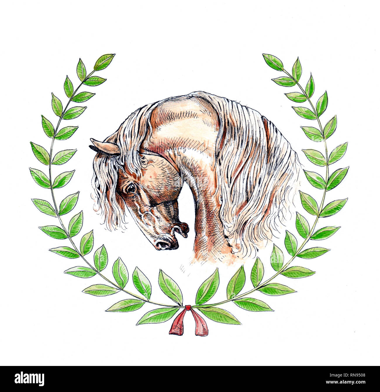 Ritratto di cavallo. Il vincitore. Disegno a inchiostro e acquerello. Foto Stock