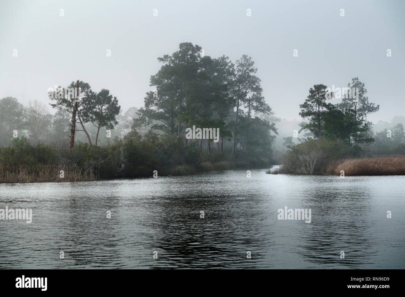 Un nebbioso pomeriggio in febbraio presso la baia di settimane nazionali di ricerca Estaurine riserva. Foto Stock