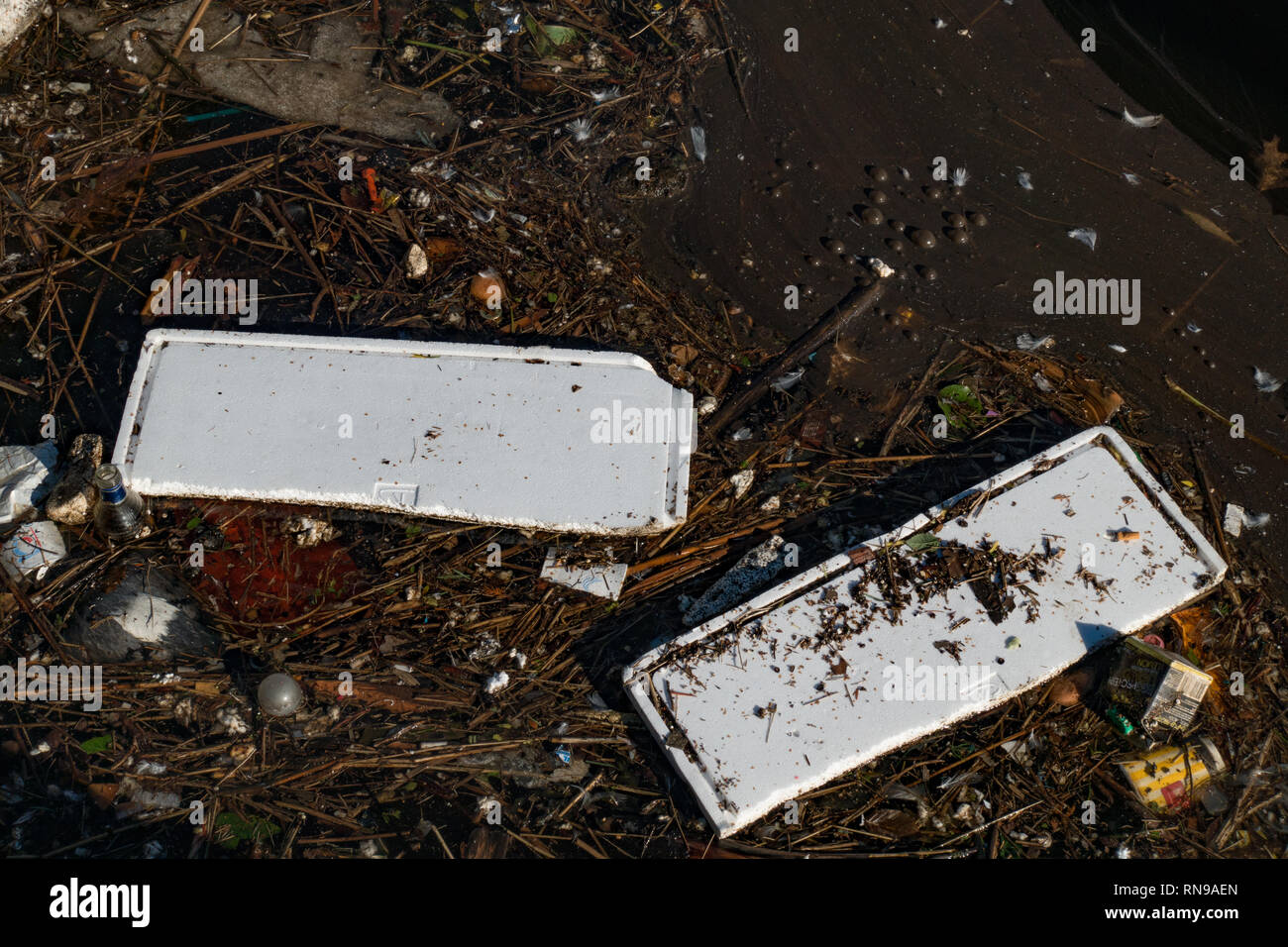 Rifiuti plastici in porto. Embden. Germania Foto Stock