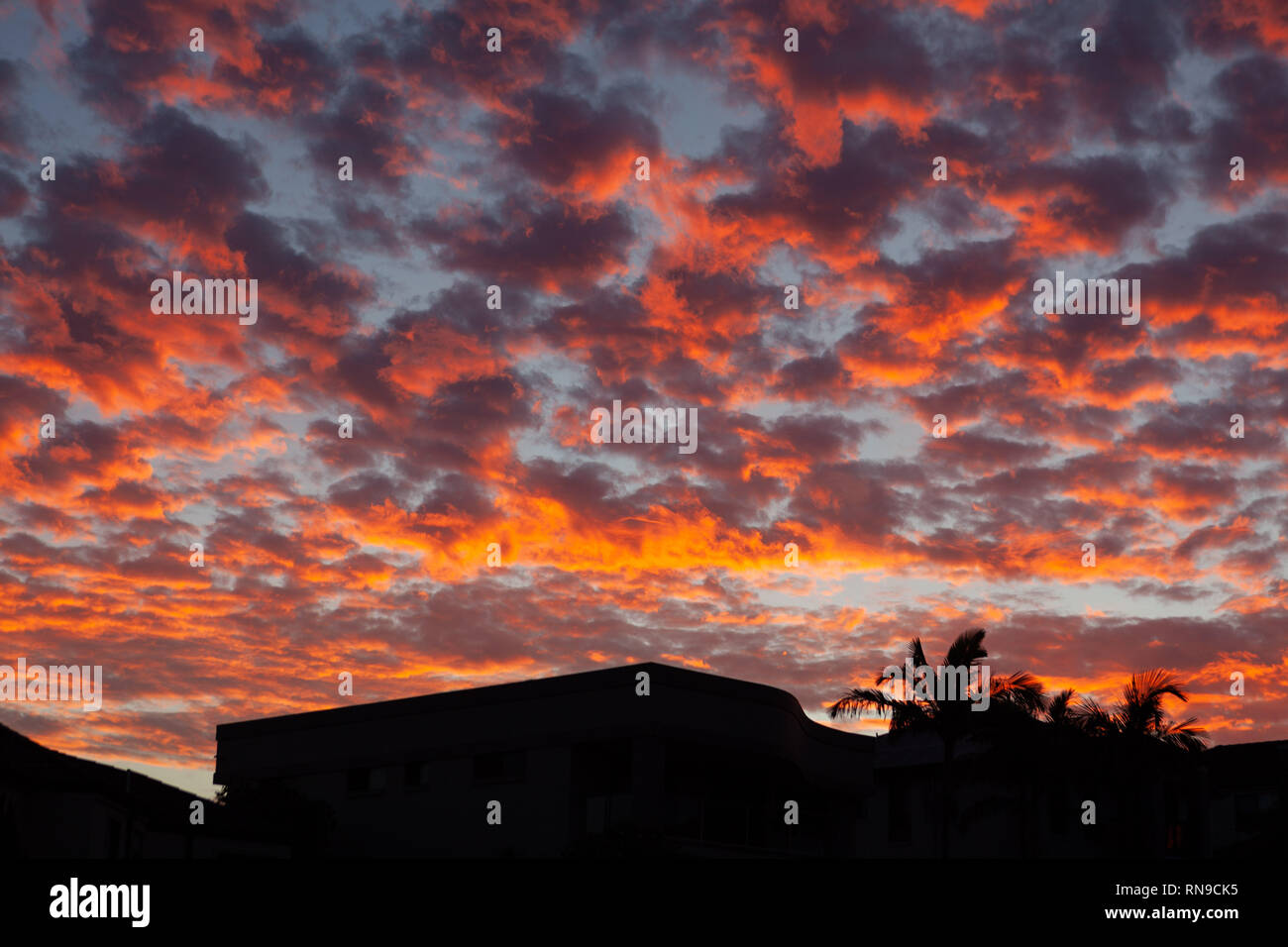 Vivido arancione e rosso tramonto nuvole sulla casa e palme sagome Foto Stock