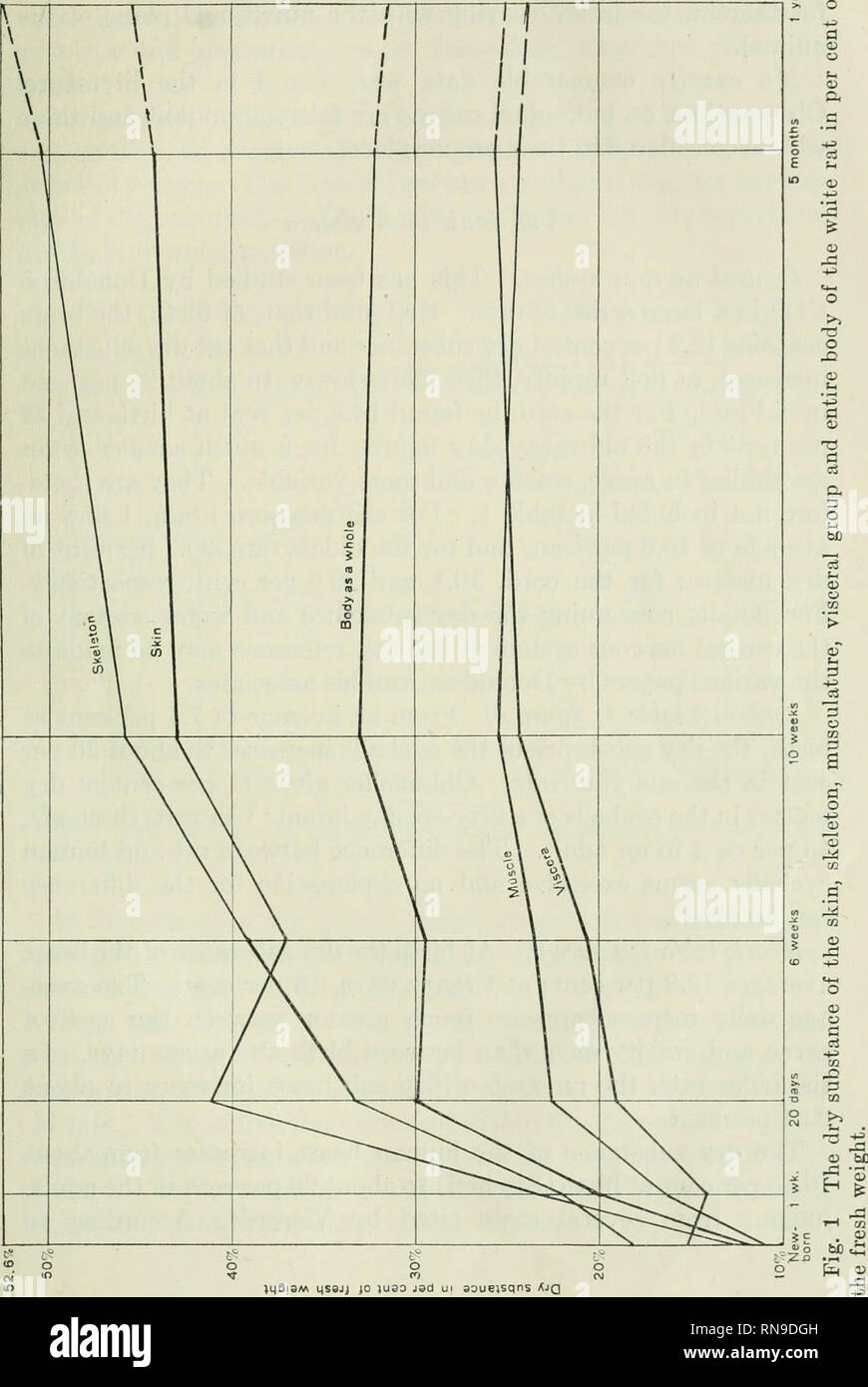 . Il record di anatomica. Anatomia; Anatomia. Sostanza secca nel ratto albino 153. jliBibm ysajj jo )u33 ui jad aouejsqns Ajq. Si prega di notare che queste immagini vengono estratte dalla pagina sottoposta a scansione di immagini che possono essere state migliorate digitalmente per la leggibilità - Colorazione e aspetto di queste illustrazioni potrebbero non perfettamente assomigliano al lavoro originale. Bardeen, Charles Russel, 1871-1935, ed; Boyden, Edward A. (Edward Allen), 1886-1976; Bremer, John Lewis, 1874- ed; Hardesty, Irving, b. 1866, ed; American Association of Anatomists; Società americana di zoologi; Wistar di istituto di anatomia e biologia. Foto Stock