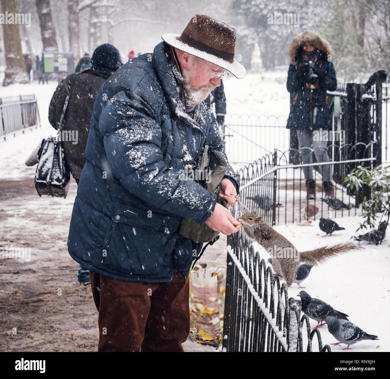 2 Marzo 2018 - Londra, Inghilterra. Buon cuore uomo alimentazione di uno scoiattolo in St James Park in un freddo e nevoso giorno nella capitale. Foto Stock