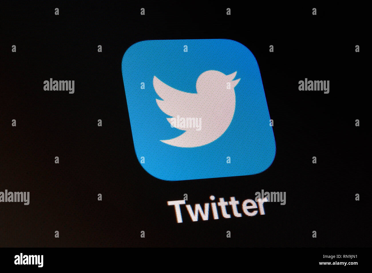 Indianapolis - Circa Febbraio 2019: App e il logo di social media Twitter gigante. Twitter richiede il parere impulso del mondo ogni giorno i Foto Stock