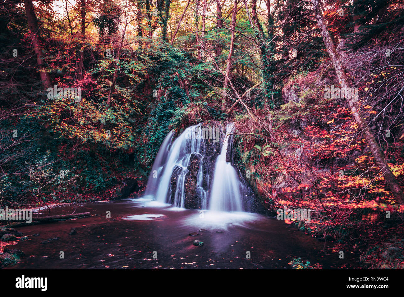 Magica Scottish Fairy Glen Falls Foto Stock