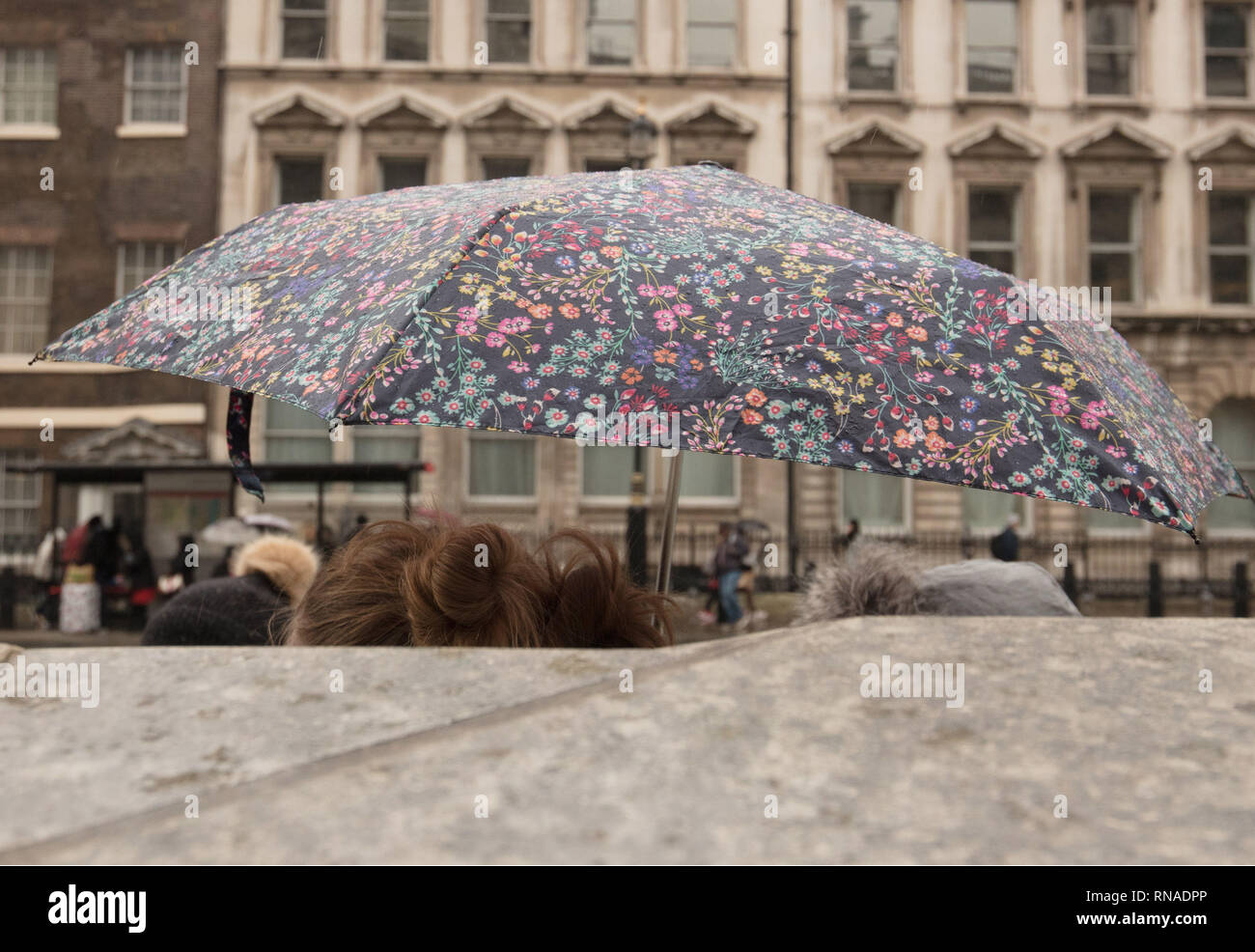 Londra, Regno Unito. 18 Febbraio, 2019. Nonostante la pioggia oggi, molti turisti utilizzando ombrelloni, godere il loro soggiorno qui in Whitehalll, Londra, Regno Unito. Credito: Joe Kuis /Alamy Live News Foto Stock