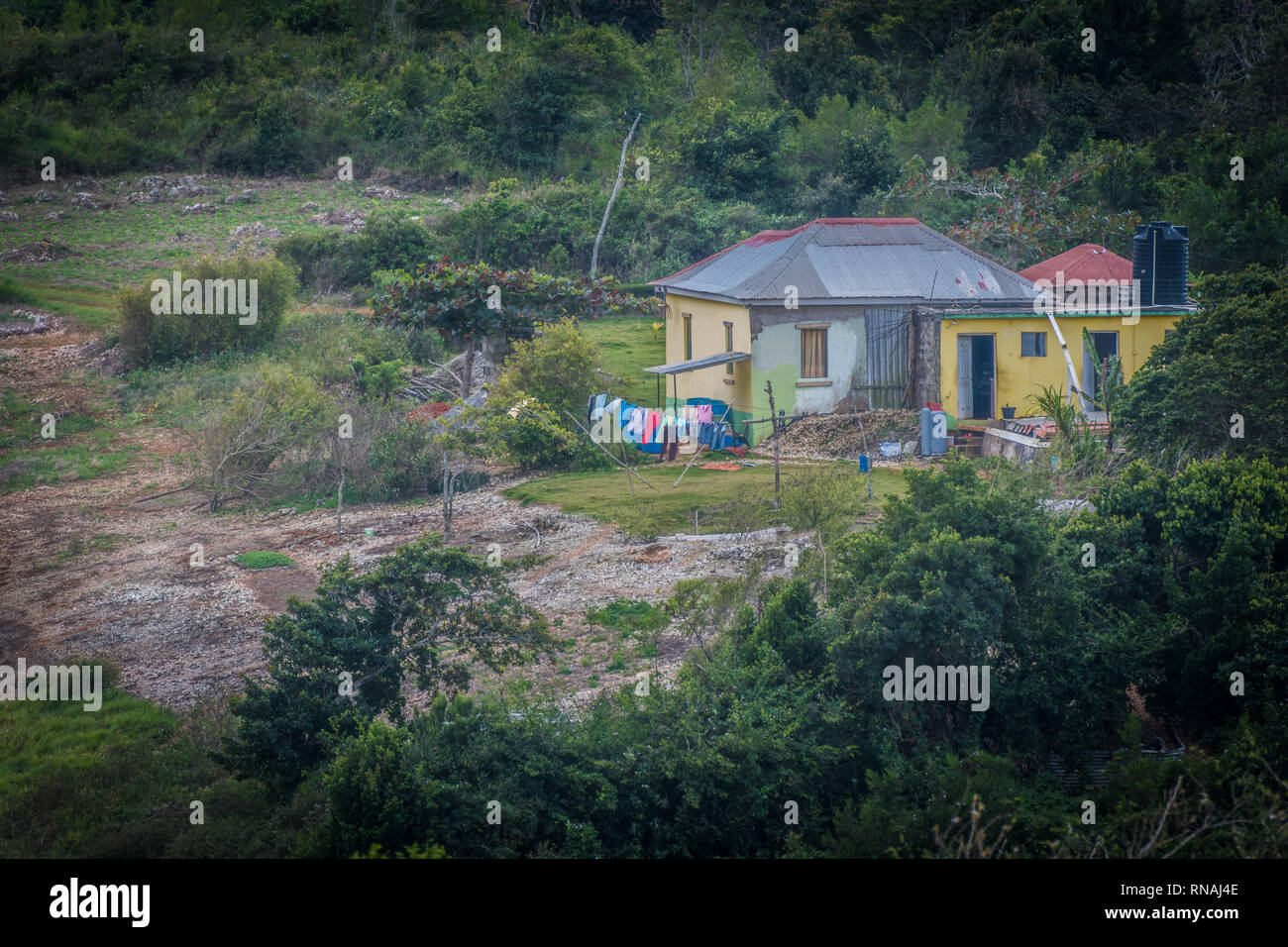 Zinco in cemento con tetto di casa in campagna in Giamaica all'esterno. Foto Stock