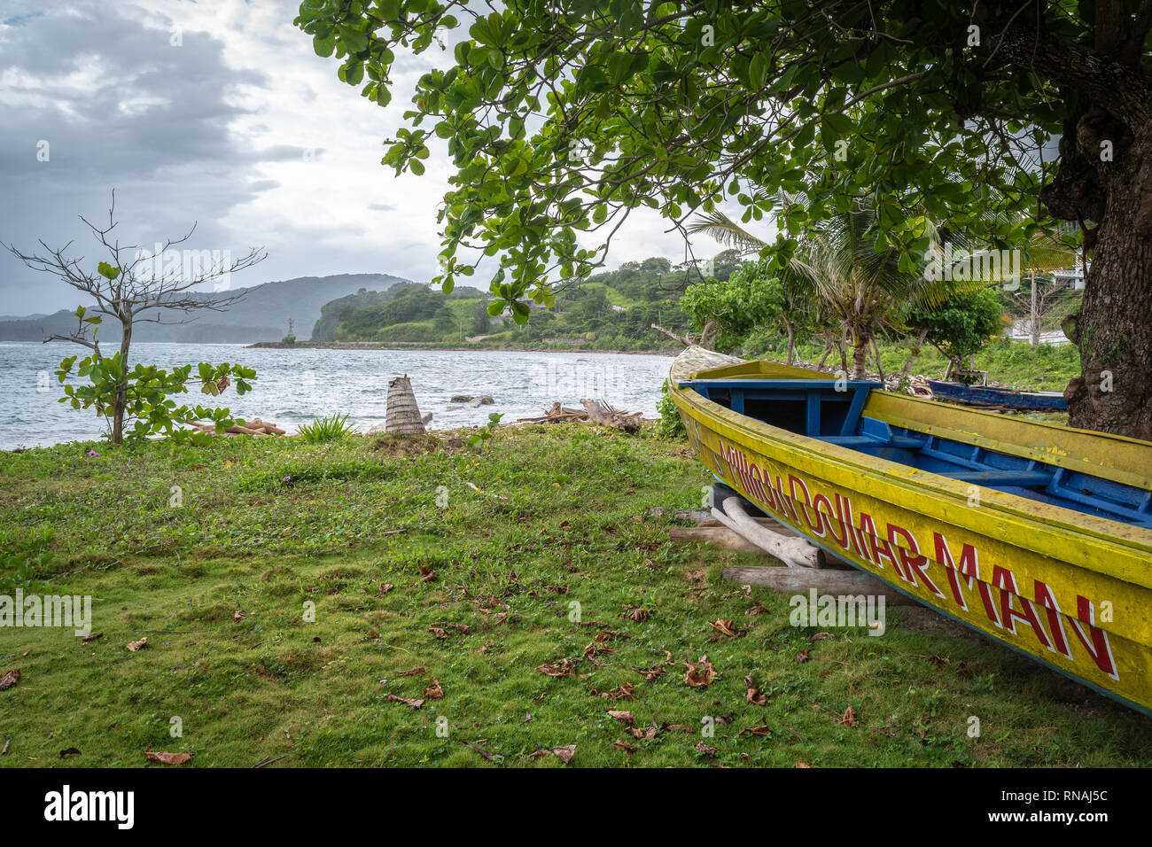 Giallo e blu barca da pesca sotto un albero in riva al mare sulla costa di Santa Maria nella parrocchia in Giamaica. Foto Stock