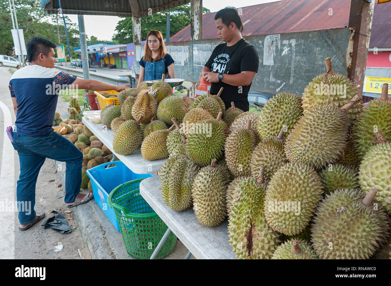 Tenghilan Sabah Malaysia - Giu 26, 2016 : fornitore di frutta Durian vendita a strada in Tenghilan Sabah.Durian è famosa per il suo gusto cremoso. Foto Stock