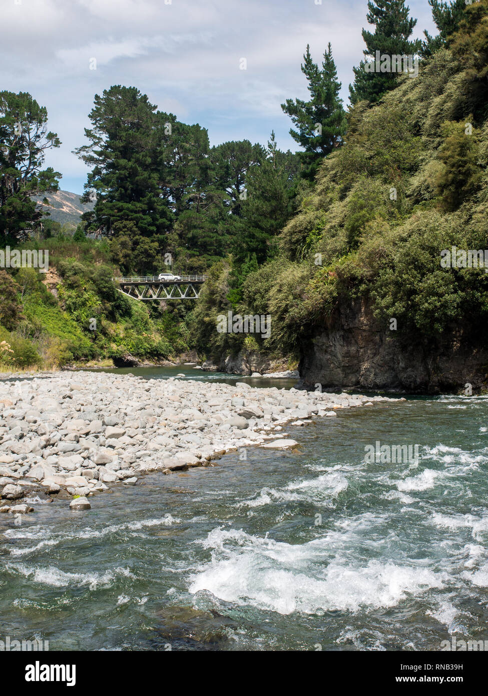 Ponte sul Fiume Ngaruroro a Kuripapango, Taihape Napier strada, navigazione Mokai Patea, Central North Island, Nuova Zelanda Foto Stock