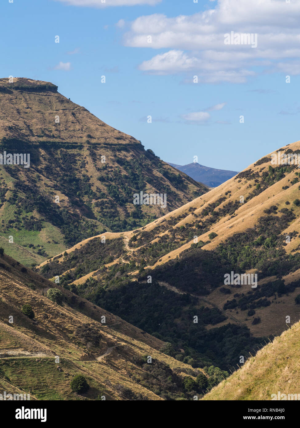 Ripide colline, erba marrone su un giorno di estate, Moawhango Valley, Inland Mokai Patea, Central North Island, Nuova Zelanda Foto Stock