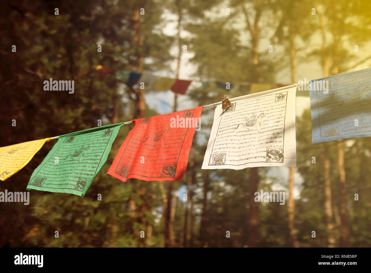 Preghiera tibetano bandiere con il mantra, testo sfocato. Cinque bandiere di colore nella foresta, giornata di sole. Concetto di fede Foto Stock