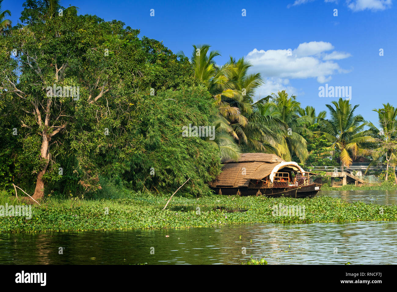 Una casa tradizionale barca è ancorata sulle rive di un lago per la pesca sportiva in Kerala la lagune, India. - Immagine Foto Stock