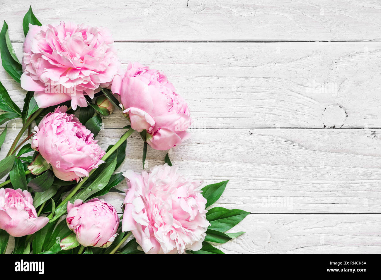 Rosa peonia fiori bianchi sul tavolo di legno. womans di giorno o di nozze con sfondo spazio copia. flat laici. vista superiore Foto Stock