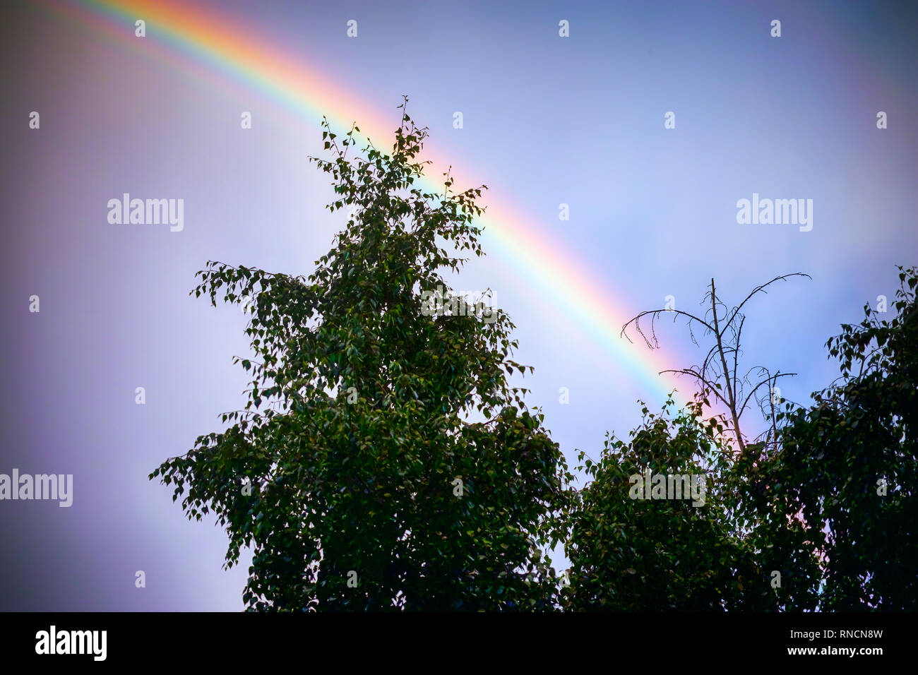 Rainbow su sky. Fenomeno naturale. Foto Stock
