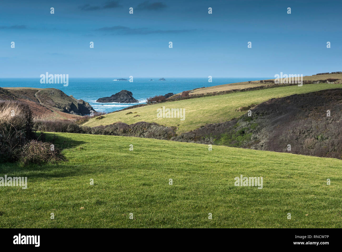 I campi che conducono in basso verso l'appartato Porth Mear Cove sulla North Cornwall coast. Foto Stock