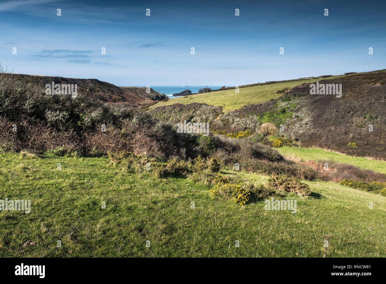 La valle nascosta che conducono in basso verso l'appartato Porth Mear Cove sulla North Cornwall coast. Foto Stock