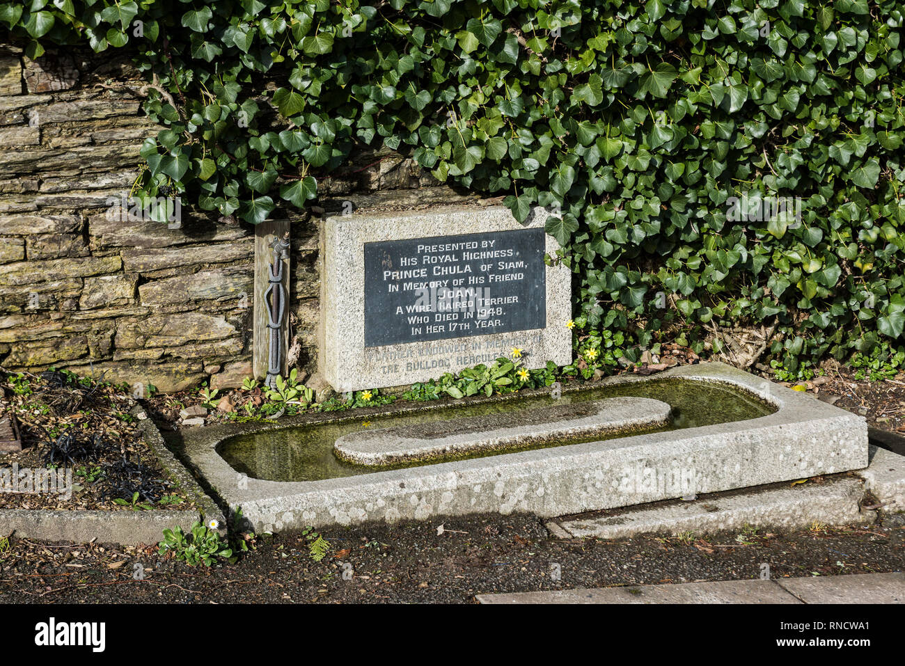 Un cane di granito il canale di irrigazione ciotola dedicata a due cani presentati dal principe Chula del Siam alla città di Bodmin in Cornovaglia. Foto Stock