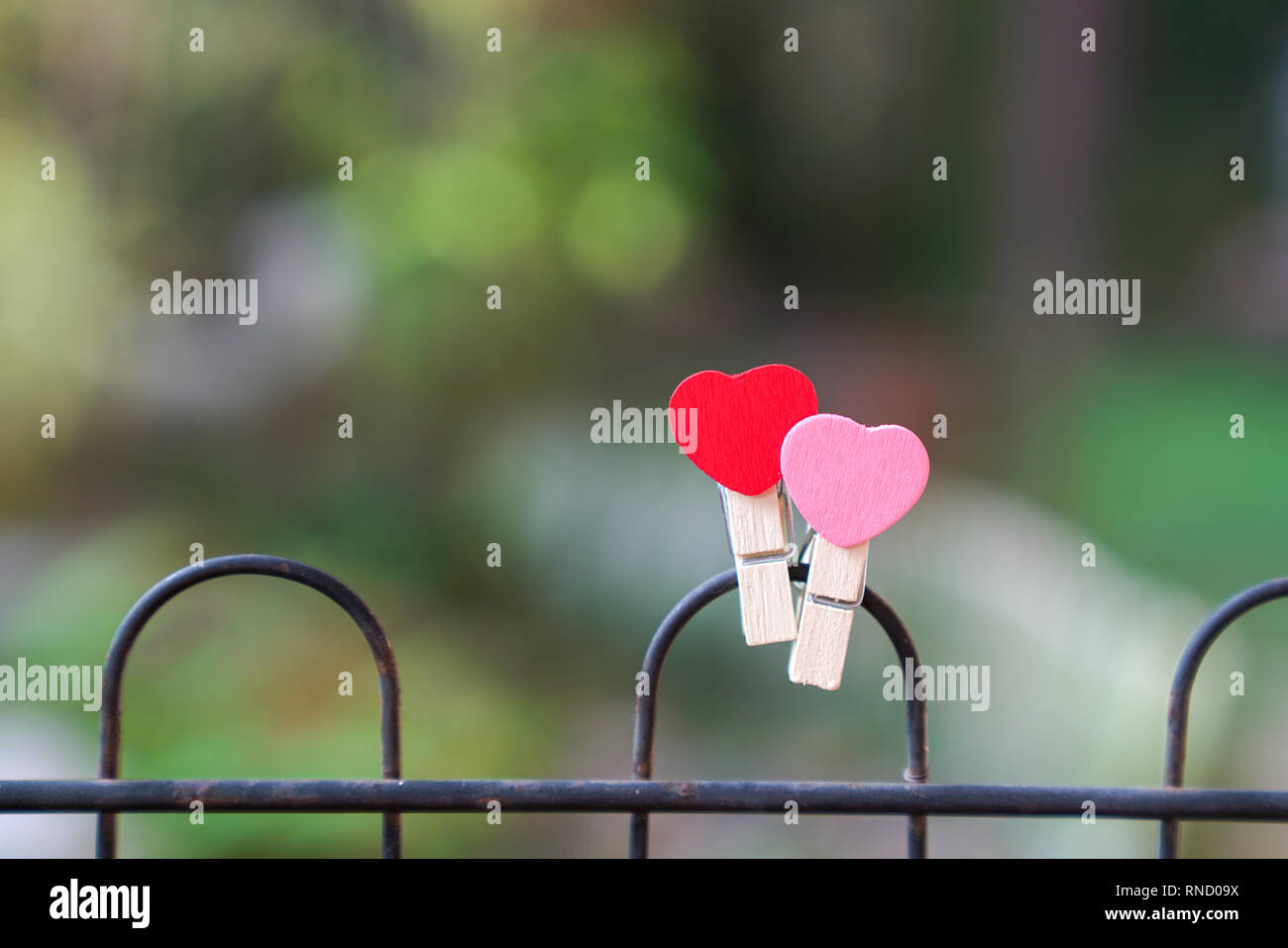 Il concetto di amore: due clip a forma di cuore in un recinto con sfondo verde Foto Stock