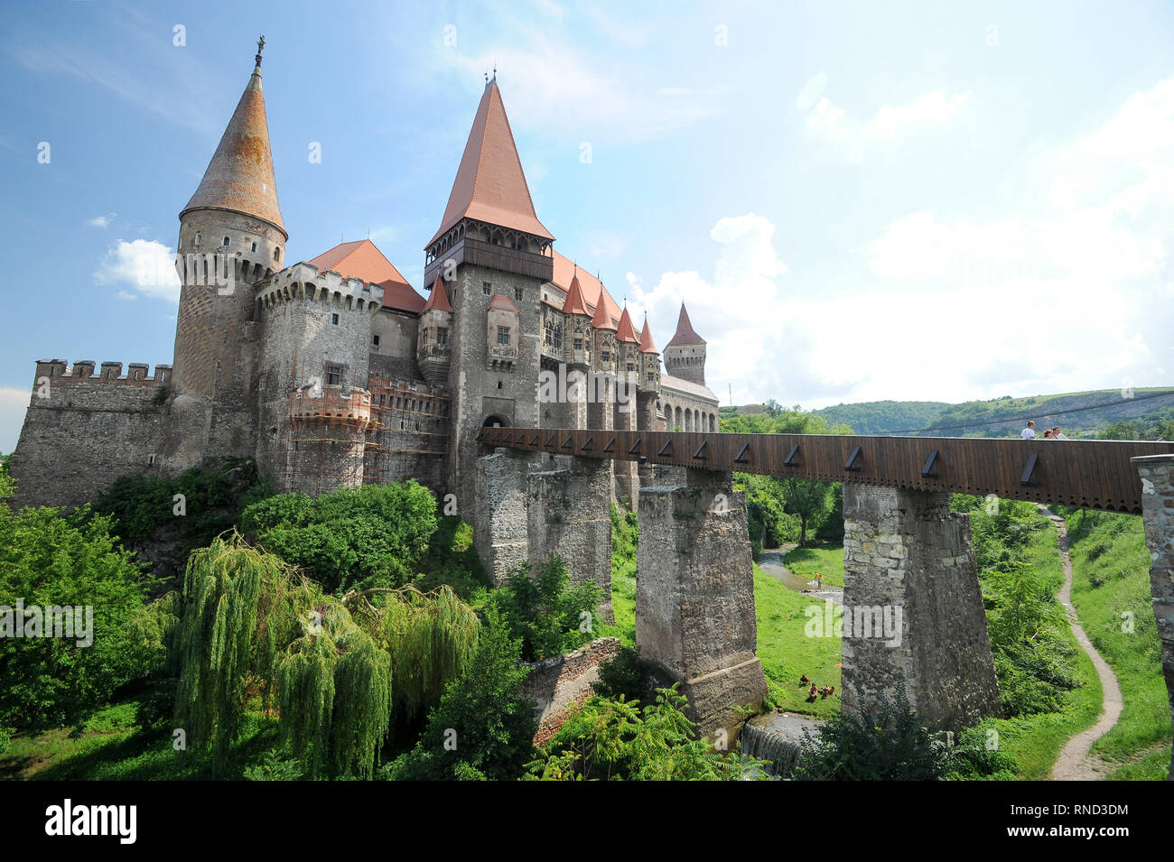 Il ponte principale, Turnul Buzdugan (Mace Torre), Gate Tower, Grande Palazzo e ultima torre di difesa torre NeBoisa del gotico-rinascimentale Castelul Corvinilor (Co Foto Stock