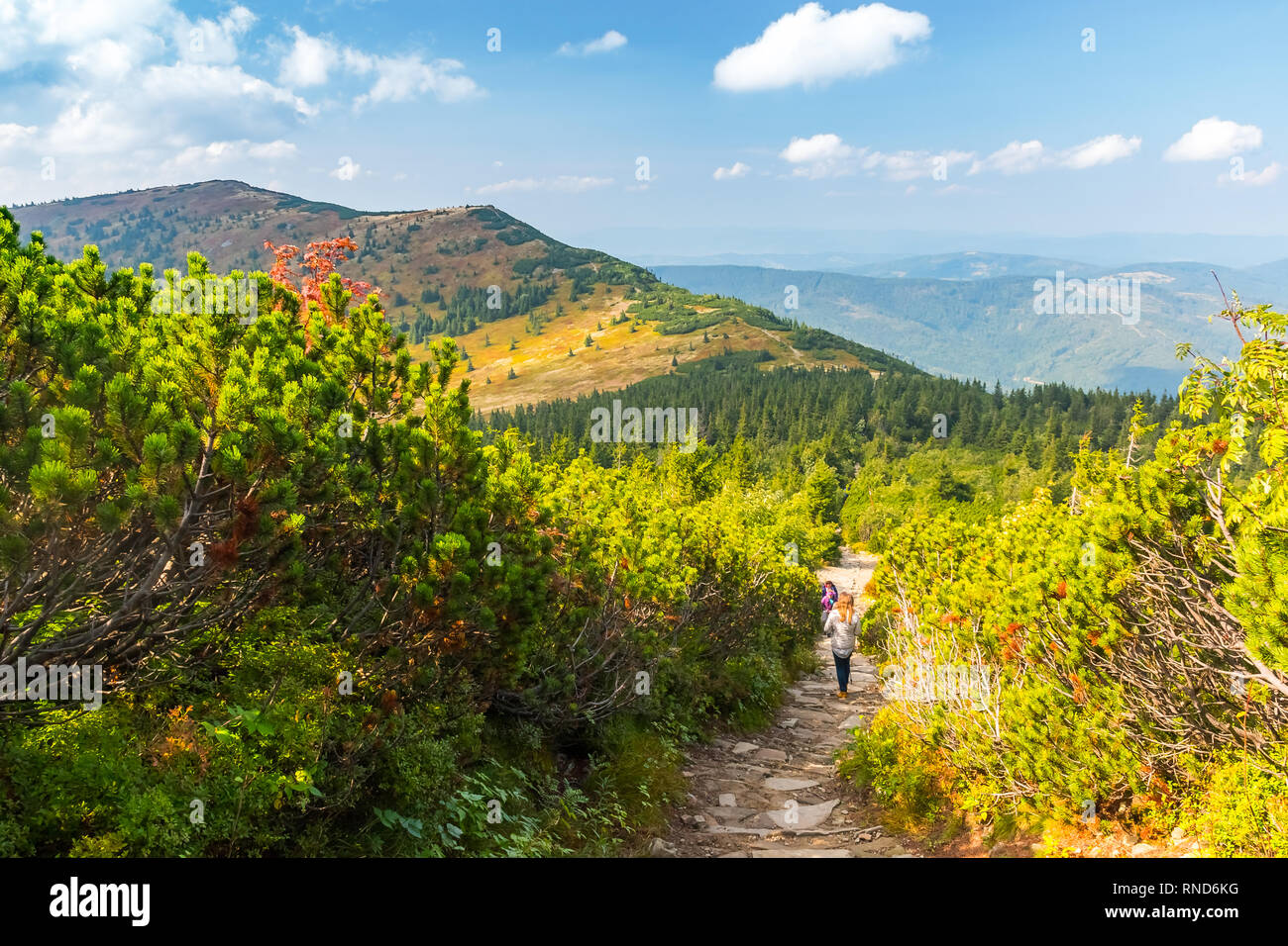 Vista da Babia Gora o Babi Hora, la vetta più alta di Beskids montagne in Polonia e in Slovacchia confine Foto Stock