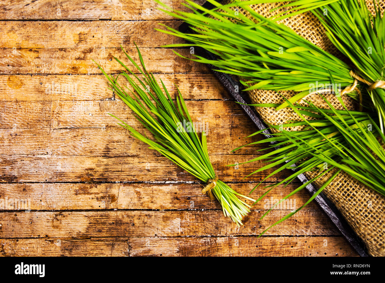 Ramo di frumento su una tavola di legno, agricoltura abstract Foto Stock