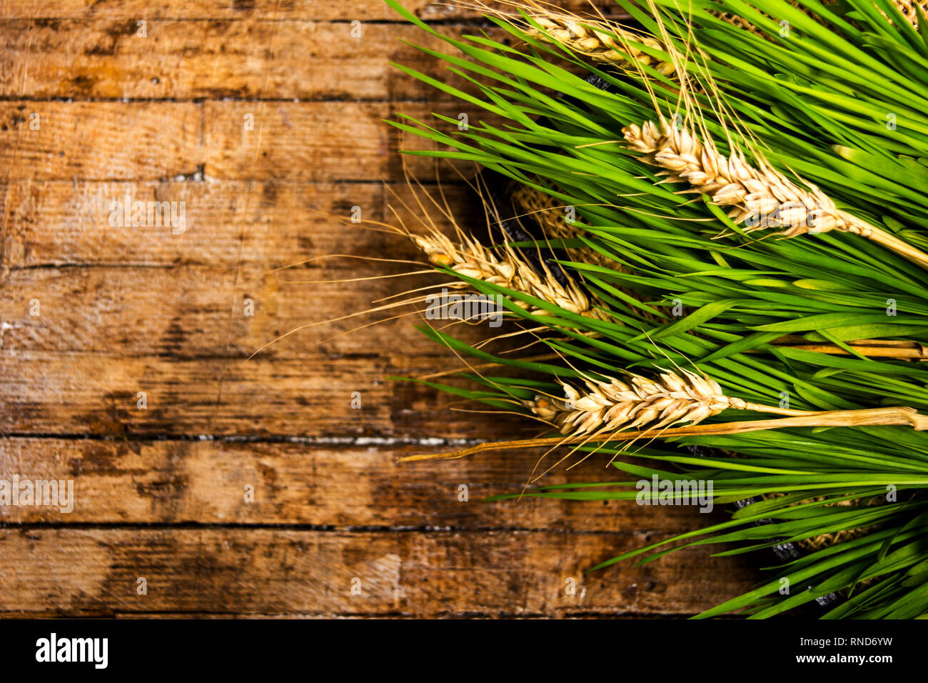 Ramo di frumento su una tavola di legno, agricoltura abstract Foto Stock