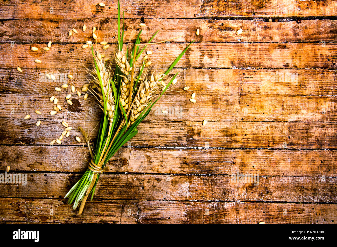Ramo di frumento su una tavola di legno, agricoltura abstract Foto Stock