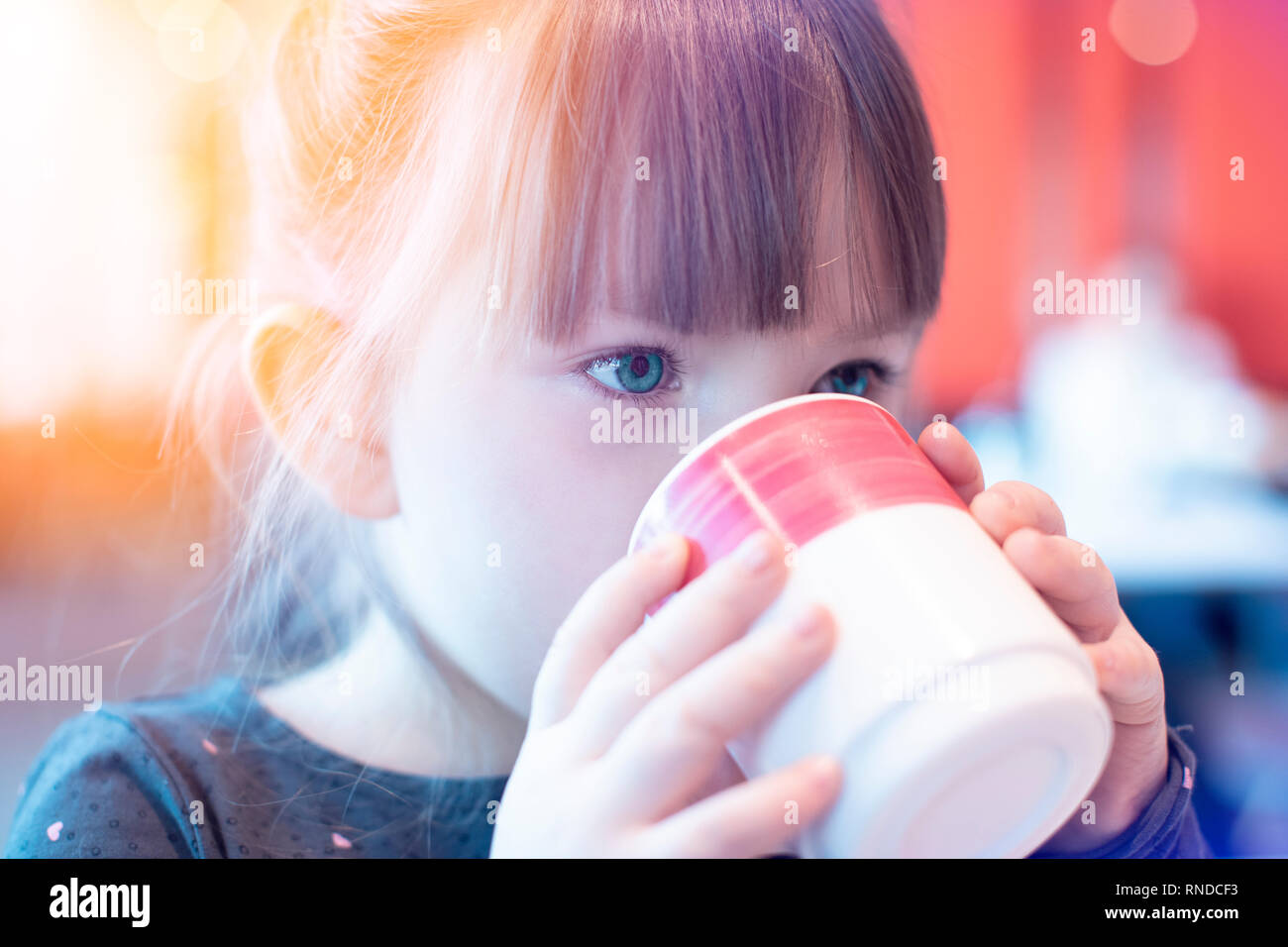 Bambina tenendo una tazza Foto Stock