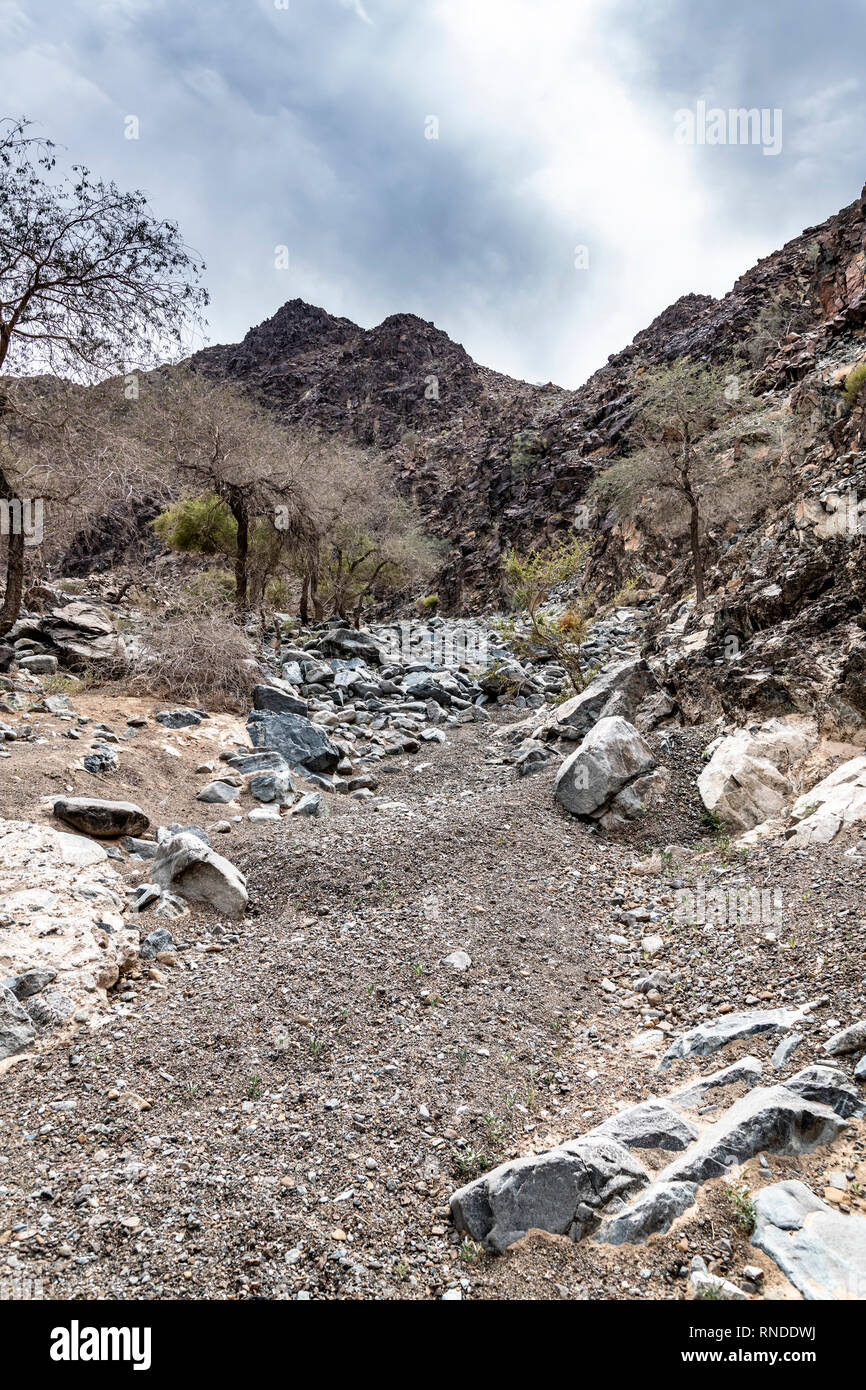 Asciutto letto del fiume nelle montagne di Hajar Foto Stock