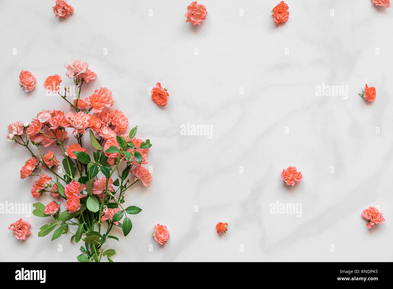 Bouquet di rose fiori in coralli viventi di colore bianco su sfondo marmo. Colore Pantone dell'anno 2019. Concetto di natura. Piatto. laici mock up. vista superiore Foto Stock