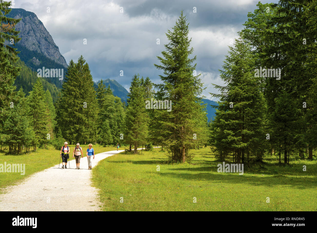 Escursionismo gruppo di sambuco donna nel Parco Nazionale di Berchtesgaden, Germania Foto Stock