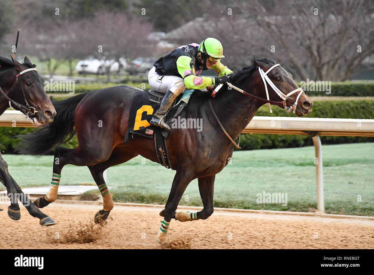 Hot Springs, Arkansas, Stati Uniti d'America. 18 Febbraio, 2019. Febbraio 18, 2019: #6 Super destriero con jockey Terry J. Thompson vince Southwest Stakes gara a Oaklawn Park il 18 febbraio 2019 in Hot Springs, Arkansas. (Foto di Ted McClenning/Eclipse Sportswire/Cal Sport Media) Credito: csm/Alamy Live News Foto Stock