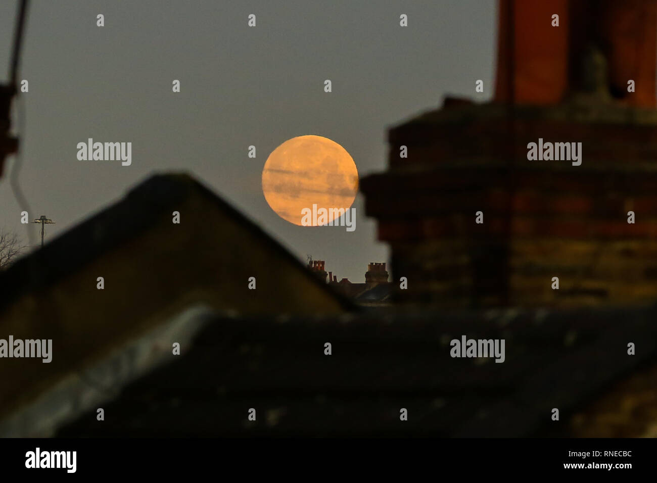Londra, Regno Unito. 19 Feb, 2019. Super Luna tramonta nel nord di Londra. Credito: Dinendra Haria/Alamy Live News Foto Stock