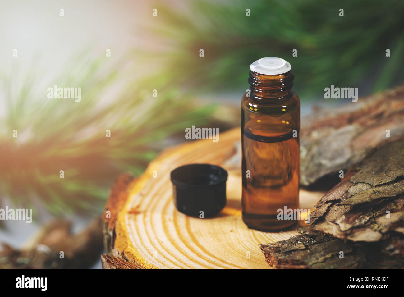 Bottiglia con corteccia di pino estratto Foto Stock