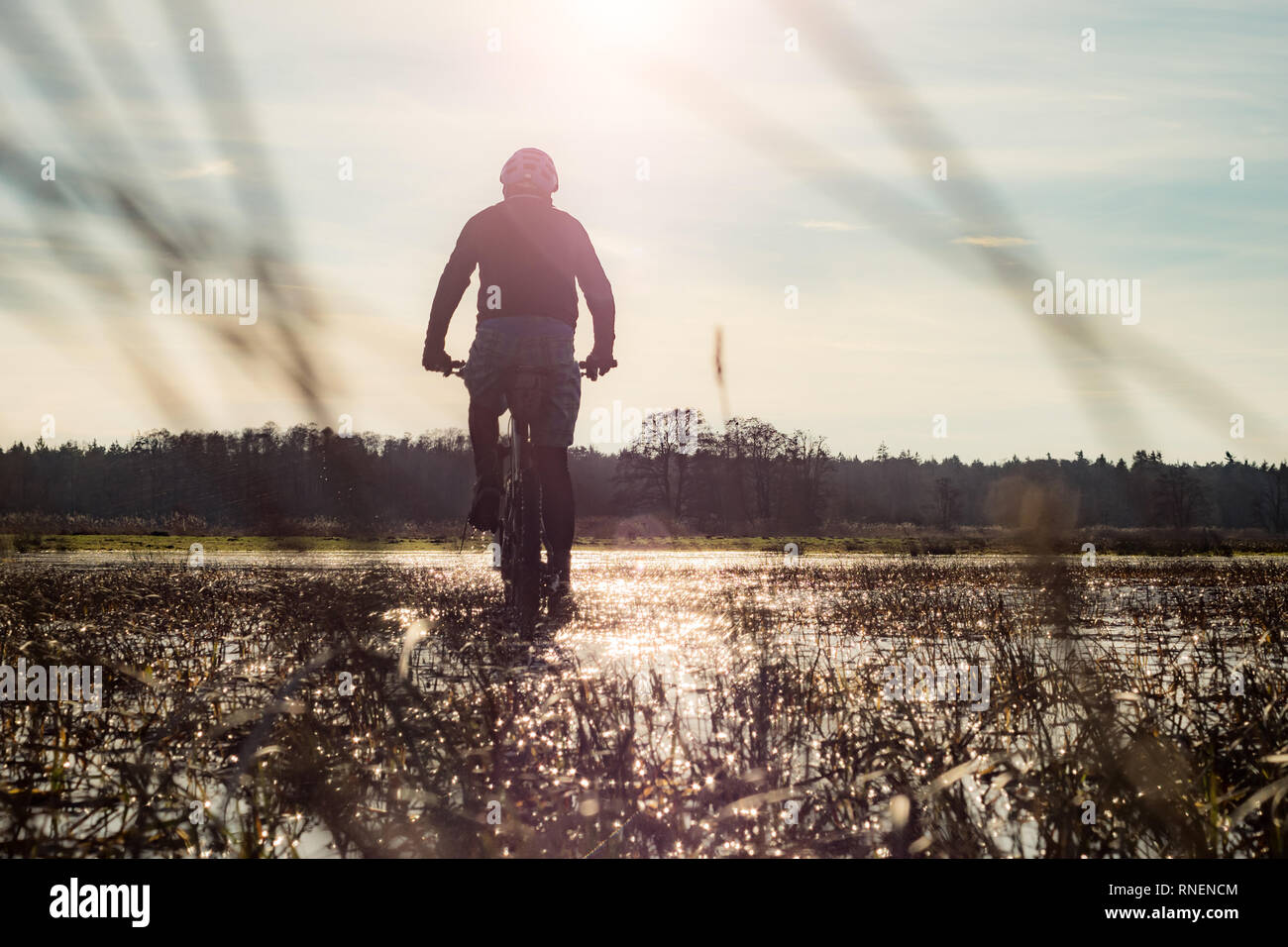 Biker in einer überschwemmten Wiese - Mountainbiken in der Hallertau, MTB, Biken Foto Stock