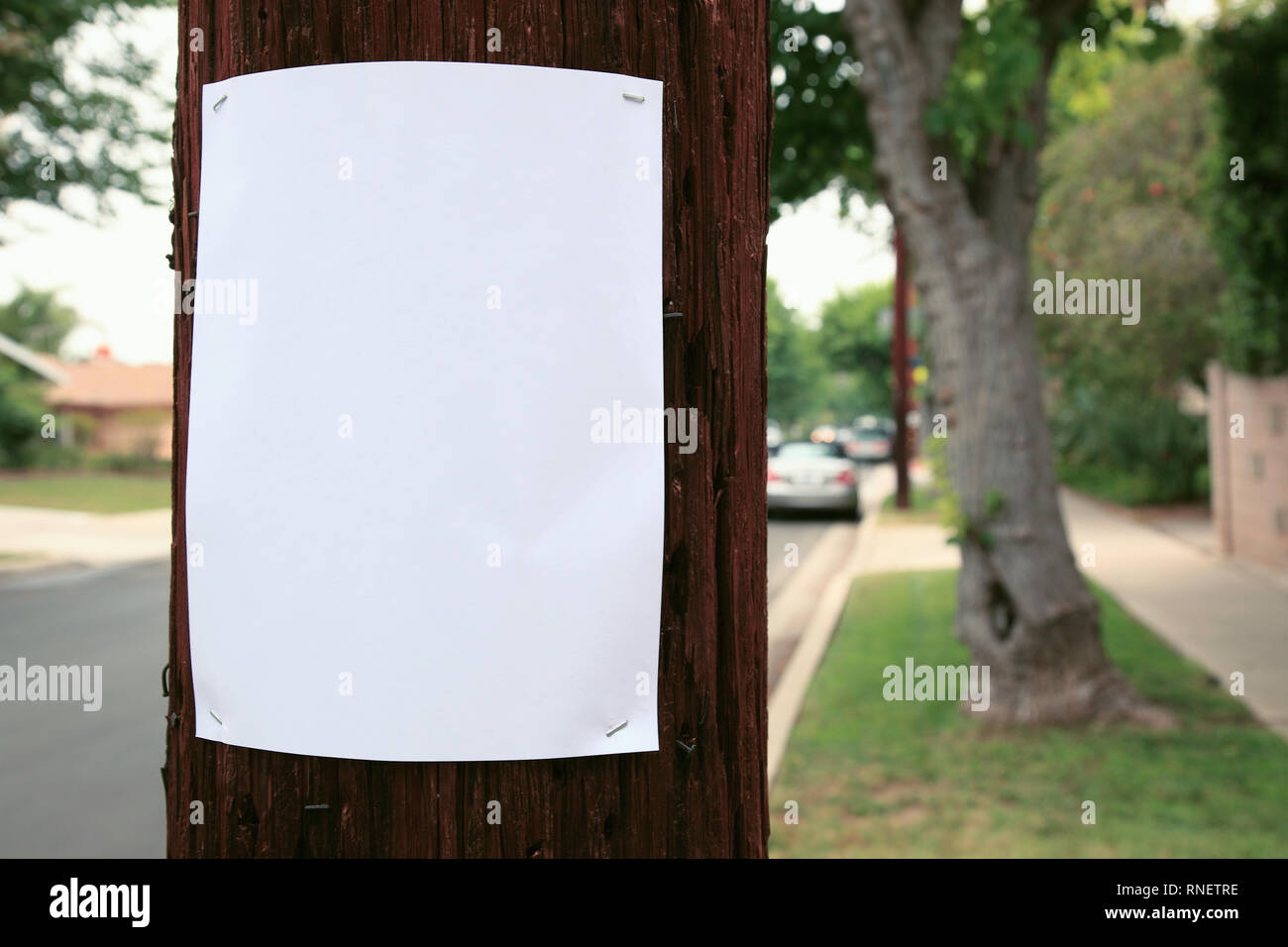 Segno bianco cucito ad un palo telefonico Foto Stock