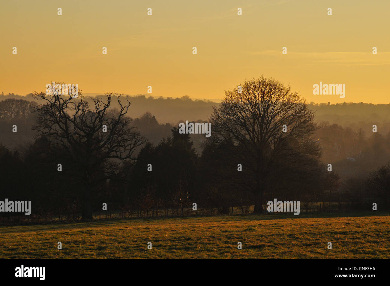 Tramonto sulla campagna di Kent in Bidborough, Kent, Inghilterra, Regno Unito. Foto Stock