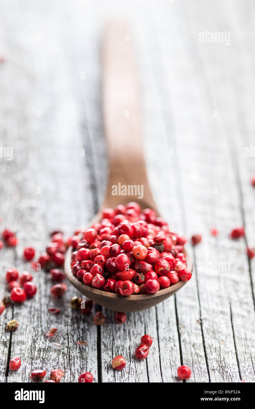 Essiccato peppe rosa in cucchiaio. Foto Stock