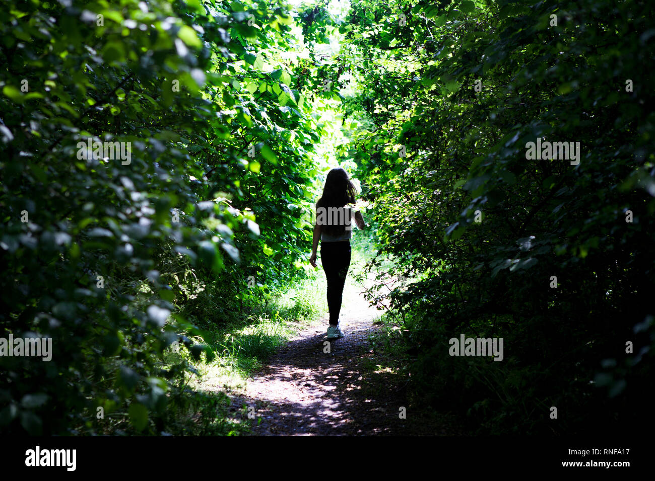 Una giovane ragazza (età 8) Camminate lungo una verdeggiante e soleggiata sul sentiero del bosco lontano dalla telecamera Foto Stock